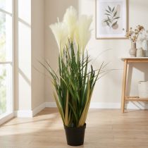 Artikel Rietgras in pot Kunstplant Crème, Groen 79cm