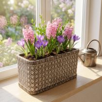 Artikel Plantenbak Plantenbak Keramiek Kom Bruin, Wit 23×11×11cm