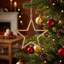 Artikel Kerstdecoratie ster, adventsdecoratie, ster hanger Golden B24.5cm