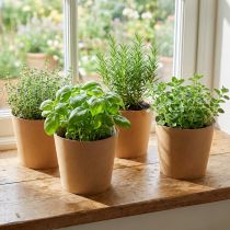 Artikel Plantenbak, bloempot, papieren plantenbak naturel Ø15cm H13cm 4st