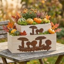 Artikel Plantenbakset, houten bakken met paddenstoelen, herfstdecoratie patina L40/30cm set van 2