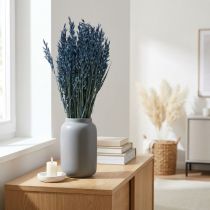 Artikel Droogbloemen, haver gedroogde graandecoratie blauw 68cm 230g