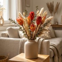 Artikel Repens Rood 25 st