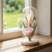 Artikel Glazen latei glazen stolp met voet helder hout Ø14cm H28,5cm