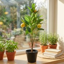 Artikel Kunstcitroenboom in pot, mediterrane decoratie, kunstcitroenplant, H58cm