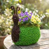 Artikel Plantenbak Slak Vine Naturel, Groen 21x14cm H26cm