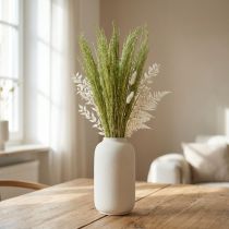 Artikel Bent Grass Agrostis Capillaris Droge Grassen Groen 65cm 80g