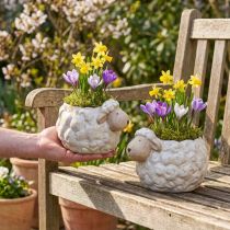 Artikel Keramische plantenpot in de vorm van een schaap, decoratieve plantenschaal voor tuin en huis, 2 stuks