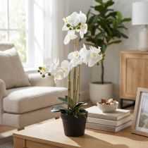 Artikel Kunstmatige orchidee in een pot voor een harmonieuze sfeer, wit, 60 cm