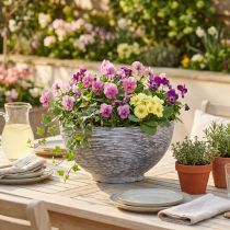 Artikel Schaal ronde plantschaal grijs zwart Ø45cm H22,5cm