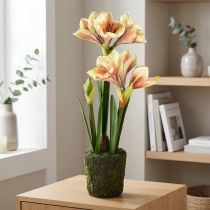 Artikel Amaryllis in mosbol kunst met roze-geel gedessineerde bloemen - 45 cm - Exotische en stijlvolle decoratie