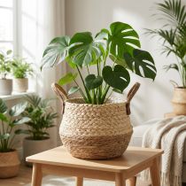 Artikel Mand met handvatten, plantenbak, zeegras, jute, Ø23cm H20cm, boho chic, urban jungle decor