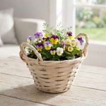 Artikel Decoratieve frietmand met handgrepen voor veelzijdige ontwerpideeën