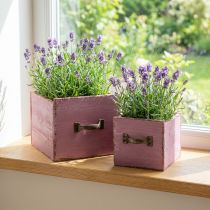 Artikel Plantenlade plantenbak hout paars 12,5/16cm set van 2