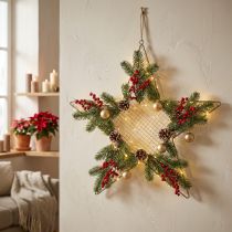 Artikel Metalen Ster Mesh Deco Ster Metal Deco Goud Ø57cm