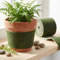 Artikel Vilten lint Franzi potlint wol wolvilt donkergroen 15cm 4m