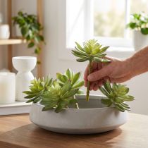 Artikel Kunstmatige vetplanten Kunstplanten Groen Ø10cm 4 st.