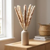 Artikel Pampasgras, decoratief gedroogd voor stijlvolle arrangementen en droogboeketten