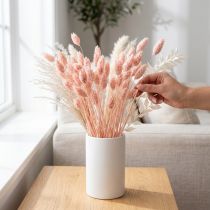 Artikel Phalaris roze glanzend gras gedroogd droog decoratie 65cm 60g