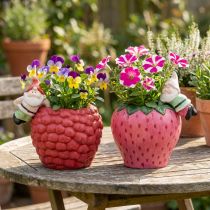 Artikel Keramische pot plantenbak randhanger dwerg Ø14,5cm 2st