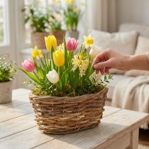 Artikel Elegante ovale mand, 27 cm, lichtbruin, voor decoratie &amp; kunstplanten