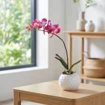 Artikel Kunstorchideeën in pot Phalaenopsis kunstbloemen orchideeën roze 34cm