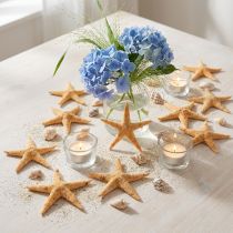 Artikel Zeester strooidecoratie home deco mini zeester natuur 2-4cm 50st