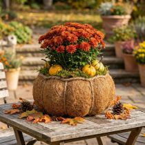 Artikel Plantenmand pompoen herfstdecoratie oranje Ø22cm H17cm