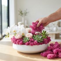 Artikel Decoratief mos Rendiermos Erika 400g