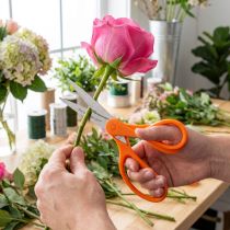 Artikel Bloemenschaar met tanden van roestvrij staal in de kleur oranje 20cm