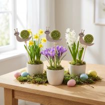 Artikel Bloemenstok Slak Decoratie Hout Vilt Groen 6.5cm 12 Stuks