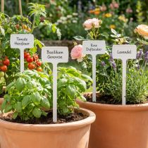 Artikel Plantenborden plantenbord om te wisselen 50cm 10st