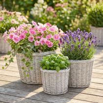 Artikel Grote plantenmand met folie, witgrijs, Ø43/34/28 cm, set van 3