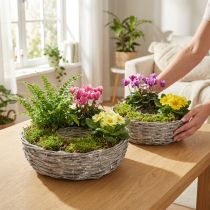 Artikel Bloempot van witte wilgentakken, set van 2, Ø25/30 cm, decoratief voor kamerplanten