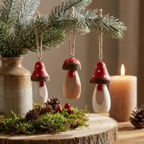Artikel Paddestoel om hout op te hangen wit, bruin assorti 6,5/8cm 8 st
