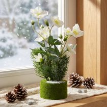 Artikel Kerstroos met dennenboom en mosbal, kunstmatig, wit met sneeuw bedekt, 33 cm