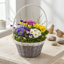 Artikel Wilgenmand met handvat, grijs en wit, Ø29cm, cadeau, bloemendecoratie