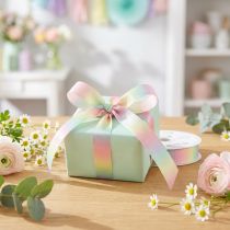 Artikel Regenbooglint pastel decoratief lint cadeaulint 15mm 18m