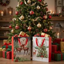 Artikel Cadeauzakjes Kerstcadeauzakje hert 24×18cm 2st