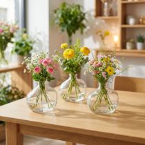 Artikel Kleine glazen vaas moderne mini vaas glas helder 11×6×10cm 3 stuks
