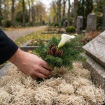 Artikel Decoratief mos gedroogd bosmos gebleekt natuurlijke decoratie 300g