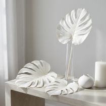Artikel Monstera bladeren gebleekt decoratief raamblad H40cm 5 stuks