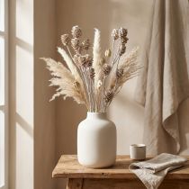 Artikel Salignum whitewashed protea op steel 25 st
