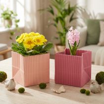 Artikel Bloemenplanter bloementas roze zalm 12cmx12cm 6 st
