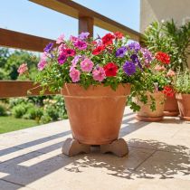 Artikel Bloempotvoetjes, praktische verhoging, potaccessoire voor balkon en terras, 7 cm, 3 stuks