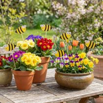 Artikel Lentedecoratie bloemplug houten bij decoratie 7cm 12st