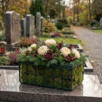 Artikel Mosrooster 1/1 plat 20 stuks