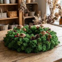 Artikel Decoratief mosgroen IJslands mos Geconserveerd mos voor knutselwerkjes 400g
