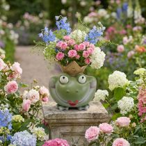 Artikel Frog King Deco Vaas Tuindecoratie Kikkervaas 21×17,5×23cm