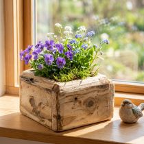 Artikel Plantenbak plantenbak houten bloempot naturel 12×12×8,5cm